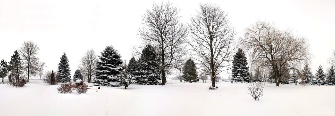 winter landschao 2